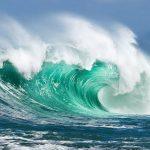 Wim Westfield izlozba sea and sirens1 2
