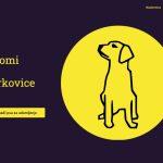 adopt Zarkovica