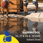 Počinje središnji program šestog Festivala soli, provjerite što vas sve očekuje 7 festival soli Vadimo sol