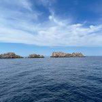 Kolinda Grabar Kitarevic Dubrovnik 8