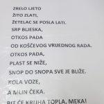 Dani kruha Dom za starije 7