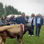 Sampionka Ivo Vidak 1