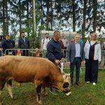 Sampionka Ivo Vidak 2