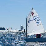 batch optimisti regata 15