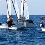 batch optimisti regata 164