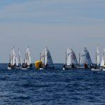 batch optimisti regata 182