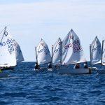 batch optimisti regata 20