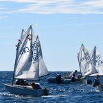 batch optimisti regata 35