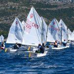 batch optimisti regata 66