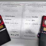 brodomaketari bronce natjecanje