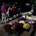 cvijece placa 27