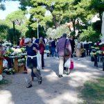 cvijece placa 92