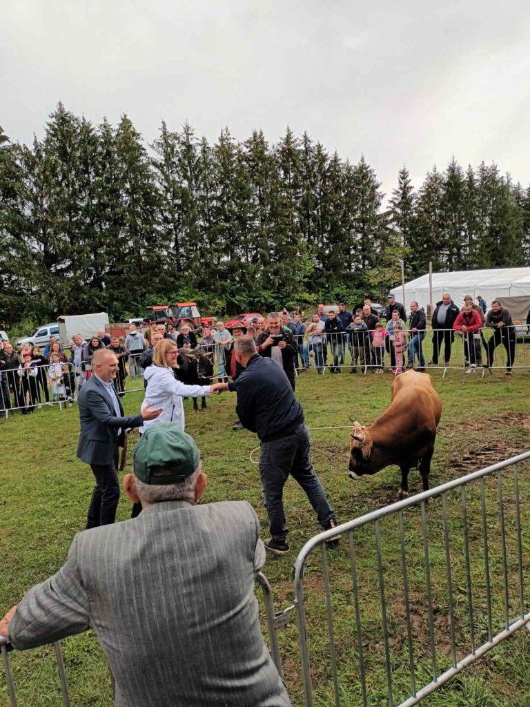ivo vidak 4