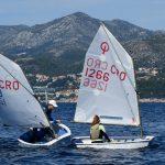 optimisti regata 111