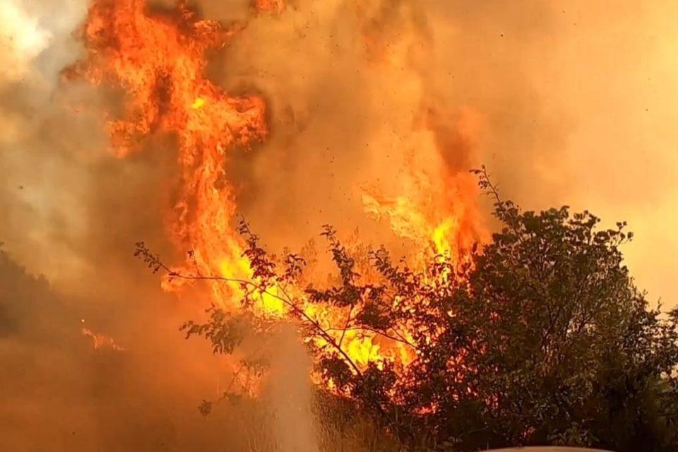 Tijekom čišćenja zemljišta u Topolom izbio požar, policija poziva na oprez prilikom paljenja