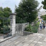 vila cingrija ciscenje 10
