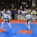 TAEKWONDO18