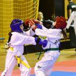 TAEKWONDO29