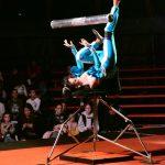 becki cirkus09