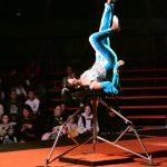 becki cirkus10