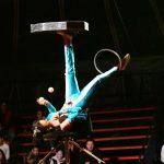 becki cirkus12