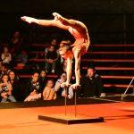 becki cirkus19