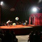 becki cirkus32
