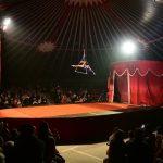 becki cirkus33