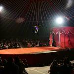 becki cirkus34