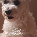 casper02
