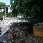 cingrija023