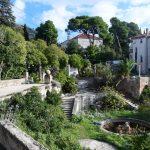 cingrija094