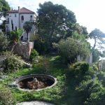 cingrija098