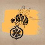 embassy by Yellow Yuri The Bees 1