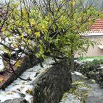 nevrijeme grad tuca 11