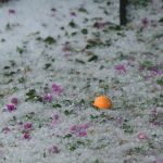 nevrijeme grad tuca 6