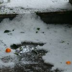 nevrijeme grad tuca 8