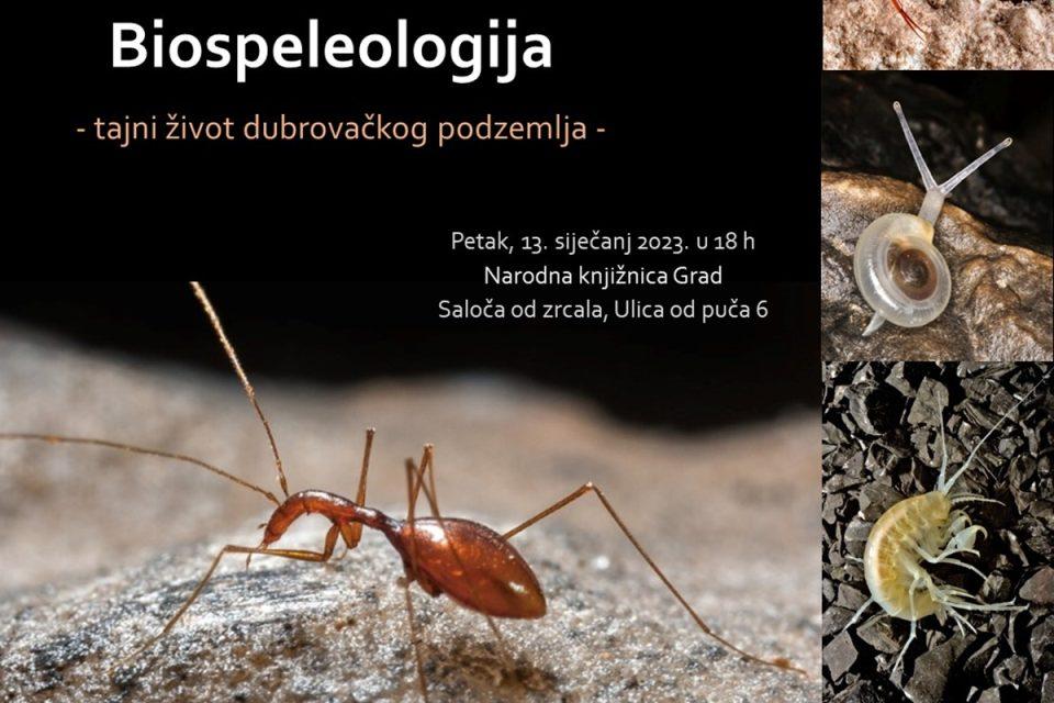 Biospeleologija