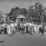 Summer in Dubrovnik 1956 2