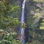 ivan vukovic vuka hawaii 1