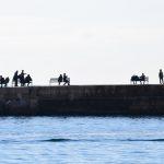 porporela012