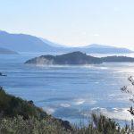BURA LOKRUM 1