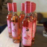 festa od vina 2023 2