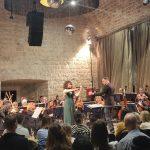 DSO ucenici 1 10