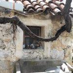 Dubrovcani izvan Grada Cvijeta Kapetanic 32