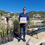 FOTO Rotary Club Dubrovnik u jos jednoj uspjesnoj akciji podijelio 700 sadnica maslina na Elafite 2
