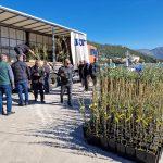 FOTO Rotary Club Dubrovnik u jos jednoj uspjesnoj akciji podijelio 700 sadnica maslina na Elafite 7