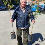 FOTO Rotary Club Dubrovnik u jos jednoj uspjesnoj akciji podijelio 700 sadnica maslina na Elafite 8