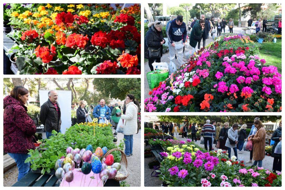 [FOTO/VIDEO] SAJAM U GRUŽU Jeste li već kupili omiljeno cvijeće? Ako niste, stignete i sutra!