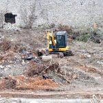 miovica suma radovi06